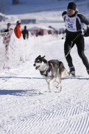 Lenk 2013